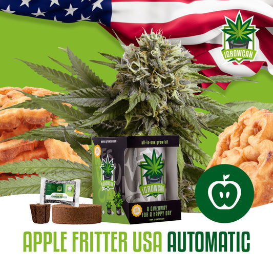 iGrowcan - Apple Fritter Automatic