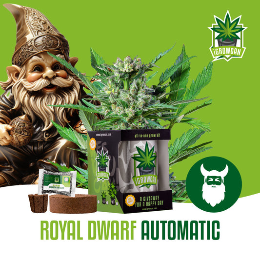 iGrowcan - Royal Dwarf Automatic