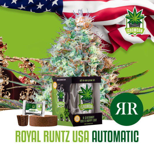 iGrowcan - Royal Runtz Automatic